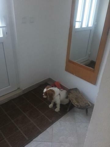 Holiday Home Gandalj_2 ロクヴァ・ロゴズニツァ エクステリア 写真